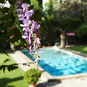 Park Palace Отель Флоренция